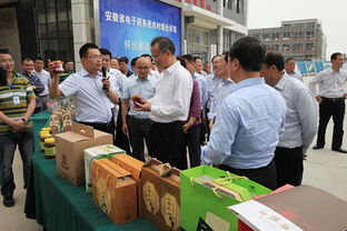 蚌埠首座電商特色創(chuàng)業(yè)孵化園落戶懷遠，匯聚電子商務新動能