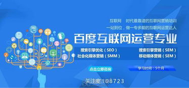 聯(lián)網(wǎng)運營師如何高效經(jīng)營電子商務 策略與實踐