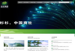 龍泉電腦綜合服務 網站開發(fā)、維修與數據安全保障